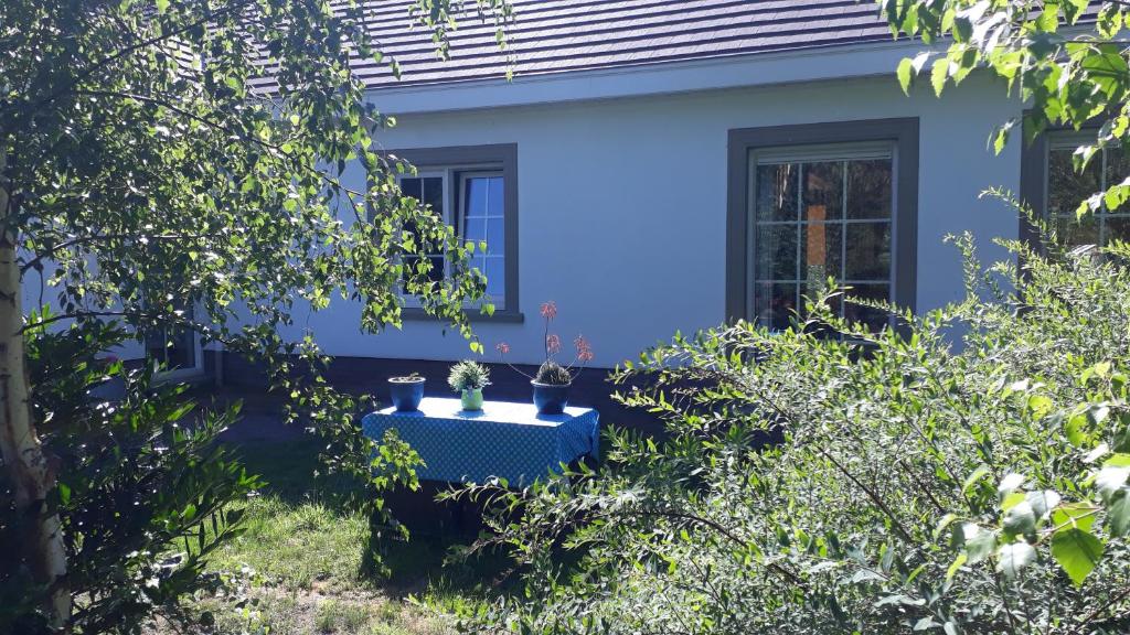 B&B de (S)tulp room 1
