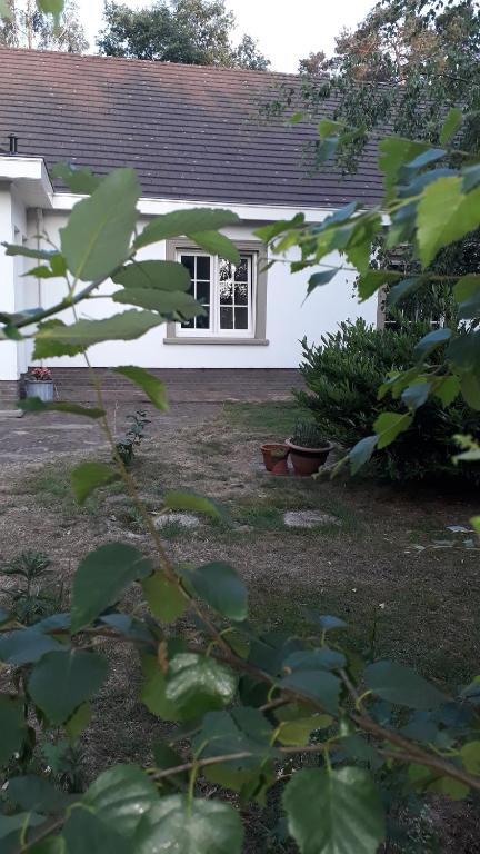 B&B de (S)tulp room 6